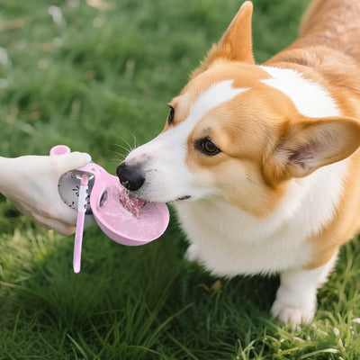 2-in-1 Portable Dog Water Bottle for Small Dogs